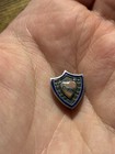 Antique Vintage D Of H Fraternal Organization Lapel Pin Sterling Enamel Hope