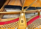 Superbly Restored Steinway   Sons Model D Concert Grand Piano
