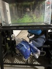 Aqueon Aquarium Fish Tank Starter Kit Led Lighting 10 Gallon