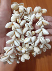 Vintage Cowrie Shell Necklace Lei  1 30 Inch