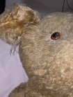 Vng Steiff Mohair Humpback Teddy Bear Excelsior Stuffing Different Eyes 22  Tall
