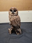 Realistic Owl Perching On Tree Stump Statue With Glass Eyes  great Condition  