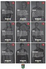The Walking Dead Season 6 - Series 2 - 10 Card Promo Set - Glenn Carol Daryl Abe