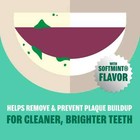Plax Oral Rinse Mouthwash  Refreshing Soft Mint Flavor  24 Fl  Oz   Pack Of 1  