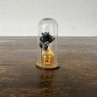 Mini Dried Flowers W Virginia City  Nevada Nv Bucket Of Blood Saloon Trade Token