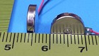 New  Coin Vibration Motor Brushless  Lbv10c-003  Nidec  10mm   2 Pcs 
