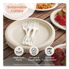 World Centric Spps6 6  Tpla Compostable Cutlery Spoon - White  1000 ct  New
