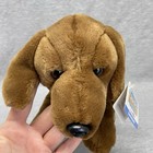 Animal Alley Toys R Us  Dachshund Weiner Brown Puppy Dog 13  Plush 2000 Nwt