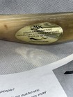 Authentic Shofar Kosher Ram s Horn From Israel  10    Rosh Hashana   Holidays