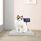 Bench Scale 180kg 396lbs Max Measuring Digital Shipping Scale Remote Display