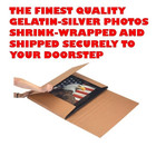 Busty Photo Art Nudes Model Female Woman Big Breasts Topless Picture Print Tf405