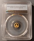 2019 10 Yuan 1g  999 Chinese Gold Panda Pcgs Ms70 First Strike Flag Label