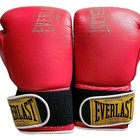 Everlast 1910 Pro Hook   Loop Premium Leather Boxing Gloves Training Collectors 