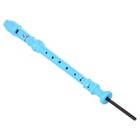 Discovery Wood Wind Recorder Toy Musical Instrument