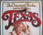 Vintage 1970s Budweiser Beer Texas Chicks Poster W Debra Jo Fondren  17 5 X 31 