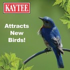 Kaytee Wild Bird Food Mealworms For Bluebirds  Wrens  2 Pound  pack Of 1  