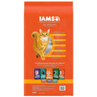 Iams Proactive Health Chicken Dry Cat Food  22 Lb Bag 2 Pack