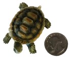 Tortoise Turtle 2in  Display Figurine Safe For Aquariums   Reptiles - Free Ship