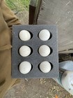 6   1 Claret Over Kelsos Pea Comb   100   Fertile Eggs  