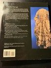 Costume Close-up 18th Century Fashion Pattern Textile Rococo 1750-1790 Dresswork