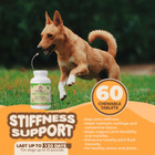 Collagen For Dogs And Cats - Joint Supplement   Vitamin C Support Joint Health