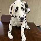 Melissa   Doug Incredibly Life Like   Lovable  Large Dalmatian  Stuffed Dog  33 