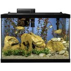 Fish Tanks 20-gallon Led Glass Aquarium Starter Kit With Filter  Heater   Plants