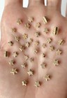 36 Crinoid Star Fossils In A Star-shaped Bottle