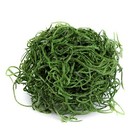 Supermoss Preserved Decor Spanish Moss  Hunter Green  2 Oz  For Crafts