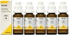 Pack Of 5 Adel 36 Pollon Drop  20ml  Homeopathic Drop   Free Shipping Usa