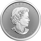 2017 1 Oz Moose Privy Canadian Silver Maple Leaf Reverse Proof Coin