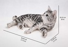 American Shorthair Lying Cat Decor Garden Statue Garden Decoration Home Decor
