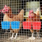 100 Pcs Cage Cups Chicken Feeder Cup 8 Oz Hanging Bird Food Water Bowl Coop Bunn