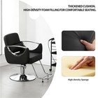 Barber Salon Chair Hydraulic Styling Shampoo Hair Beauty Spa Stylist Equipment