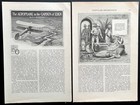    the Aeroplane In The Garden Of Eden    1916 Expos   Wwi Middle Eastern Air War