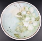 St Regis Floral Dish Set Vtg Dinner Plate 9 5  lunch Plate 6 5  saucer 6  cup 4 