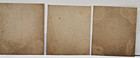 Bufford Lith Engraving Print Album Cards  daisy Of The Dell    Racial Equality