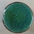 Vintage Glass Souvenir Paperweight Cumberland Falls State Park Kentucky