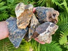 Rough Cheetah Agate   Jasper Stones  Lot Of 5 Pieces  Lapidary  3 Lbs
