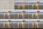 Custom Pet Portrait Oil Painting Style   Dog Cat Photo To Art Gift Personalized