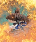 Handmade Tralalero Tralala Brainrot Toy