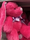 Dan Dee Plush Teddy Bear  2004  Red