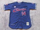 Chicago American Giants Negro League Street Wear Jersey Stitched Nwt  125 Large
