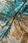 New Anthropologie Judarn Tree Skirt Beautiful Print Holiday Christmas  180