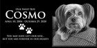 Memorial Grave Marker Granite Plaque Human Headstone Dog Personalized Pet Stone