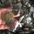 100 Pair  Of Split Ammonite  Specimen Shell Healing Madagascar 01