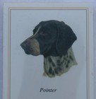 Pointer Dog Magnetic Notepad Note List Pad - New