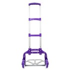 Portable Aluminium Folding Trolley Cart Dolly Push Truck Collapsible Luggage