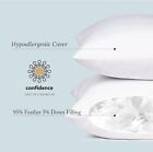 Euro Pillow Inserts 26 X 26  pack Of 2 Down Feather Pillow Stuffer