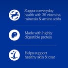 Pedigree Chopped Ground Dinner Adult Soft Wet Dog Food With Beef  13 2 Oz  Ca   